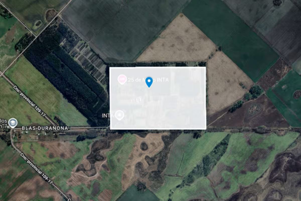 El Gobierno acelera la desafectación de casi 34.000 hectáreas del INTA