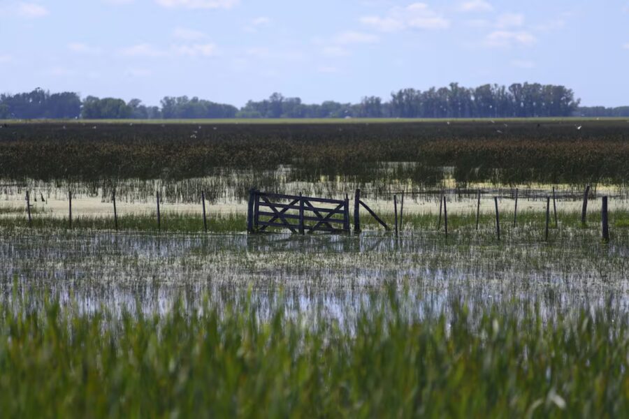 Bajó el agua, se sembró solo el 40% del área y hay menor actividad comercial en las ciudades
