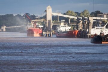 En noviembre, la agroindustria registró las mejores exportaciones en una década