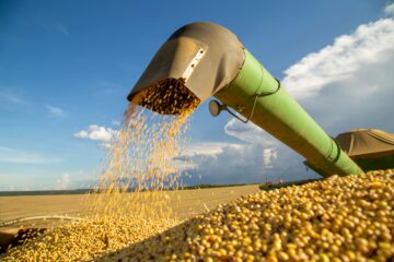 Calculan alivio fiscal de US$600 millones para el campo