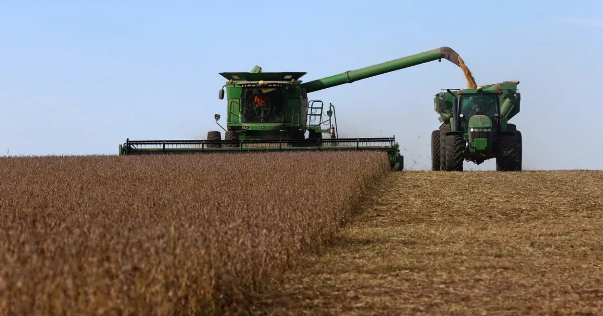 Para la agroindustria, la baja de retenciones es un “paso positivo” para recortar la “enorme carga tributaria”