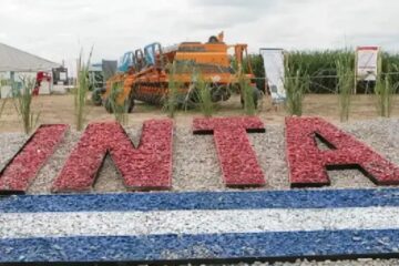 Ex funcionarios nacionales: “La modernización del INTA no es tal, es un negociado”