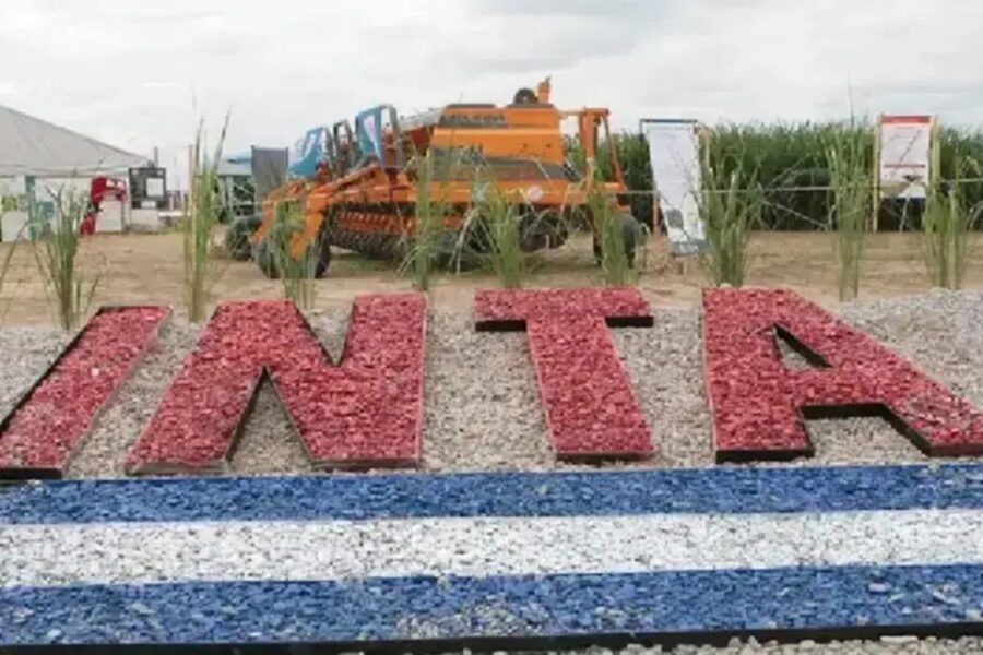 Ex funcionarios nacionales: “La modernización del INTA no es tal, es un negociado”