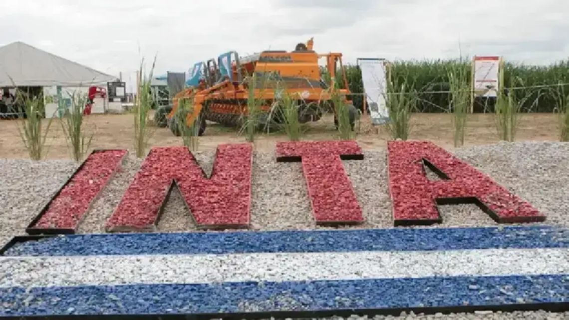Ex funcionarios nacionales: “La modernización del INTA no es tal, es un negociado”