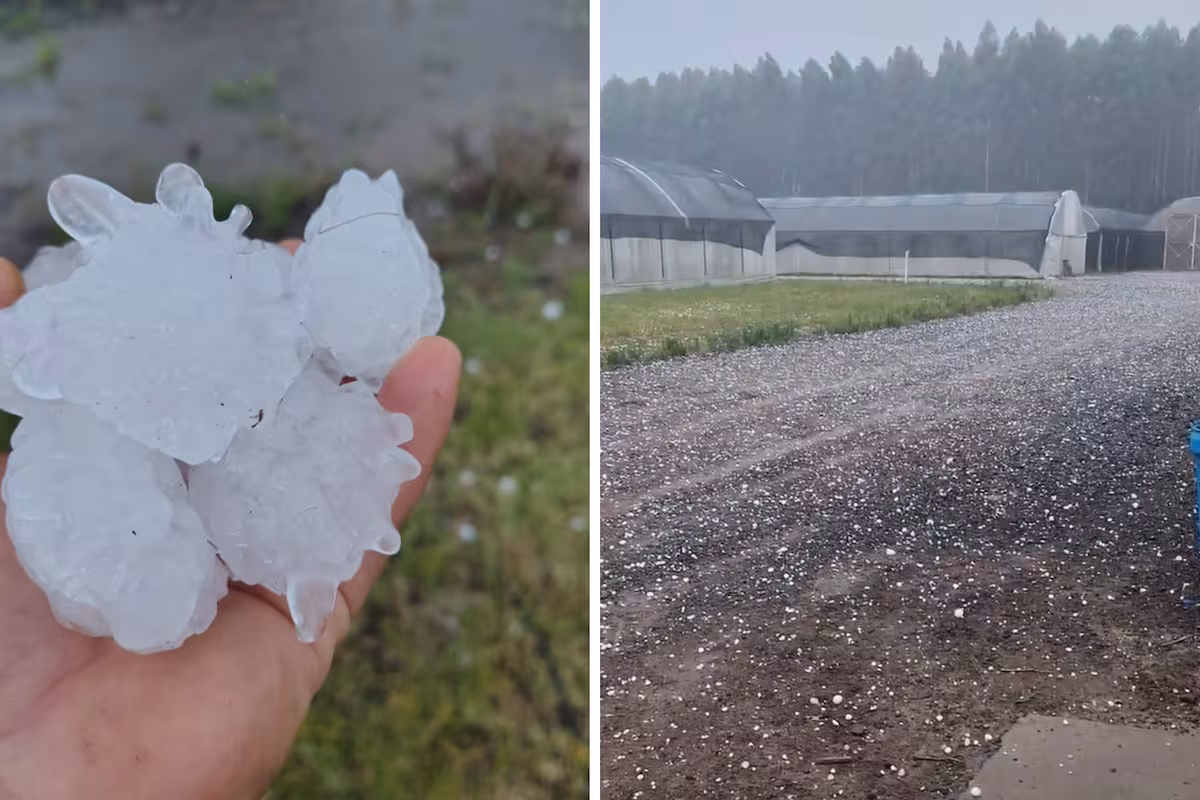 Necesito el título original y el contenido (o un resumen) del artículo para crear el nuevo título. ¿”Entre Ríos – LA NACION” es el título original o solo la fuente? Pega aquí el título y el texto (o un resumen) y te devuelvo solo el título propuesto.