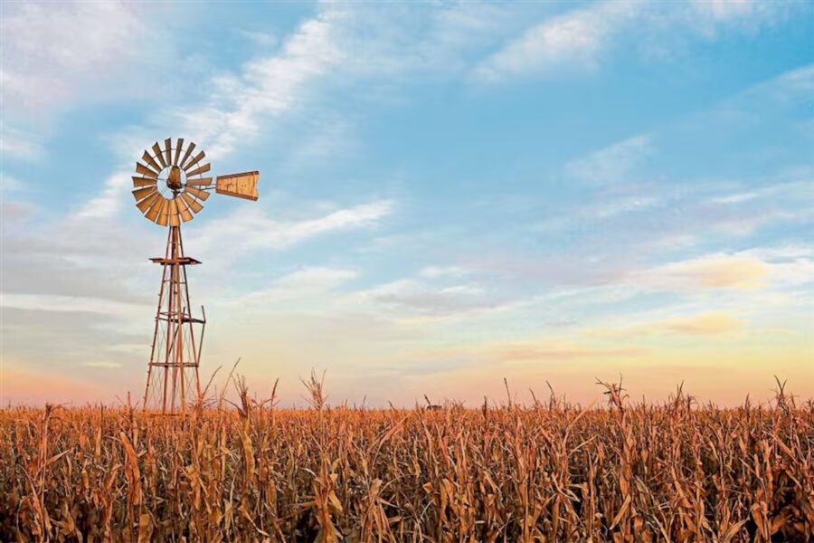 Necesito el título original y el contenido (o un resumen) para crear los nuevos títulos. ¿Quieres que te proponga tres opciones diferentes? Recuerda: máximo 120 caracteres, conservar palabras en MAYÚSCULA si ya están, no poner en mayúscula palabras que no lo estén, y la primera letra de la primera palabra irá en mayúscula.  
Pega aquí el título y el texto y te devuelvo las tres opciones.