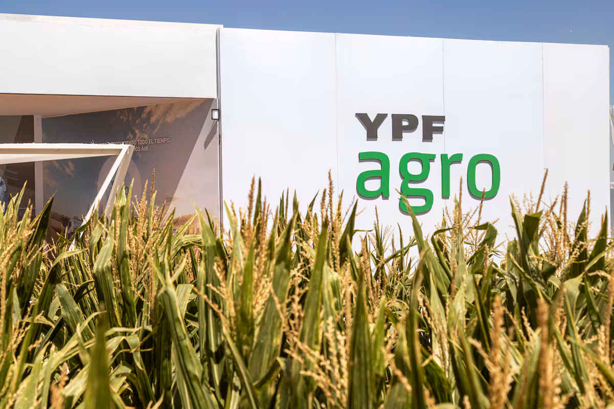 Por qué YPF quiere un socio para su negocio agropecuario