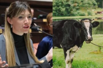 Proyecto oficial propone impuesto a gases y eructos de vacas para financiar políticas climáticas