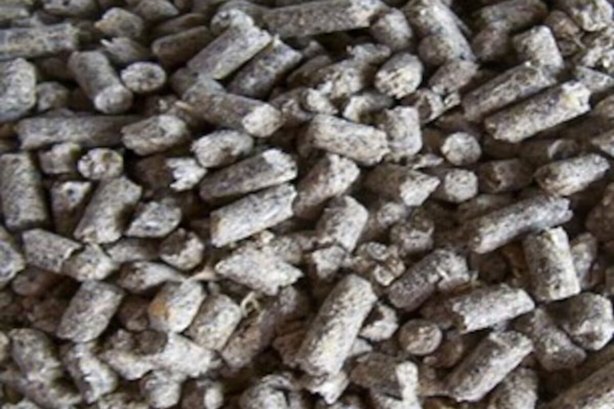 El suplemento se perfila como el mejor balanceado natural del mundo