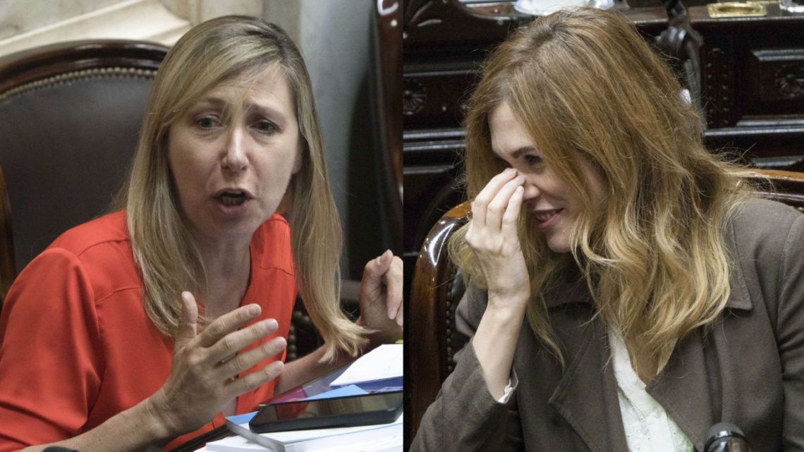 Myriam Bregman cruzó a Lilia Lemoine y exigió: “Que se callen esas cacatúas”