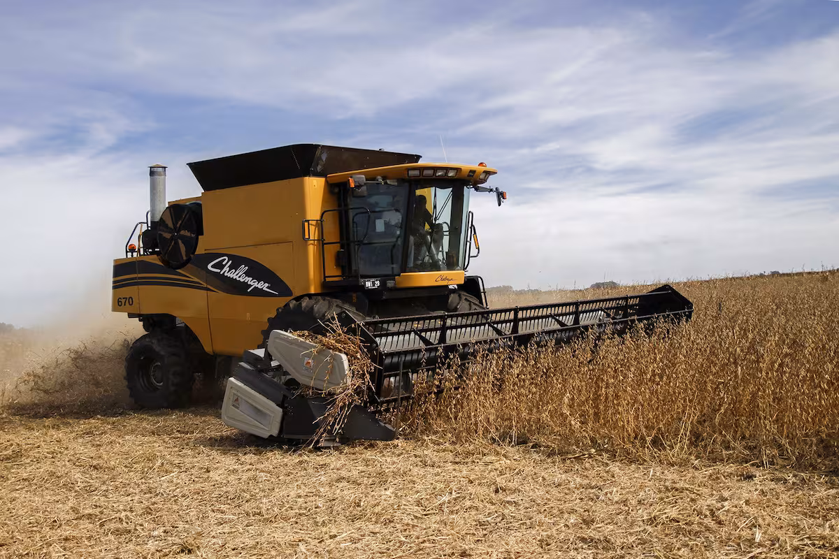 El Gobierno baja las retenciones: soja al 24% y se reducen maíz, trigo y girasol