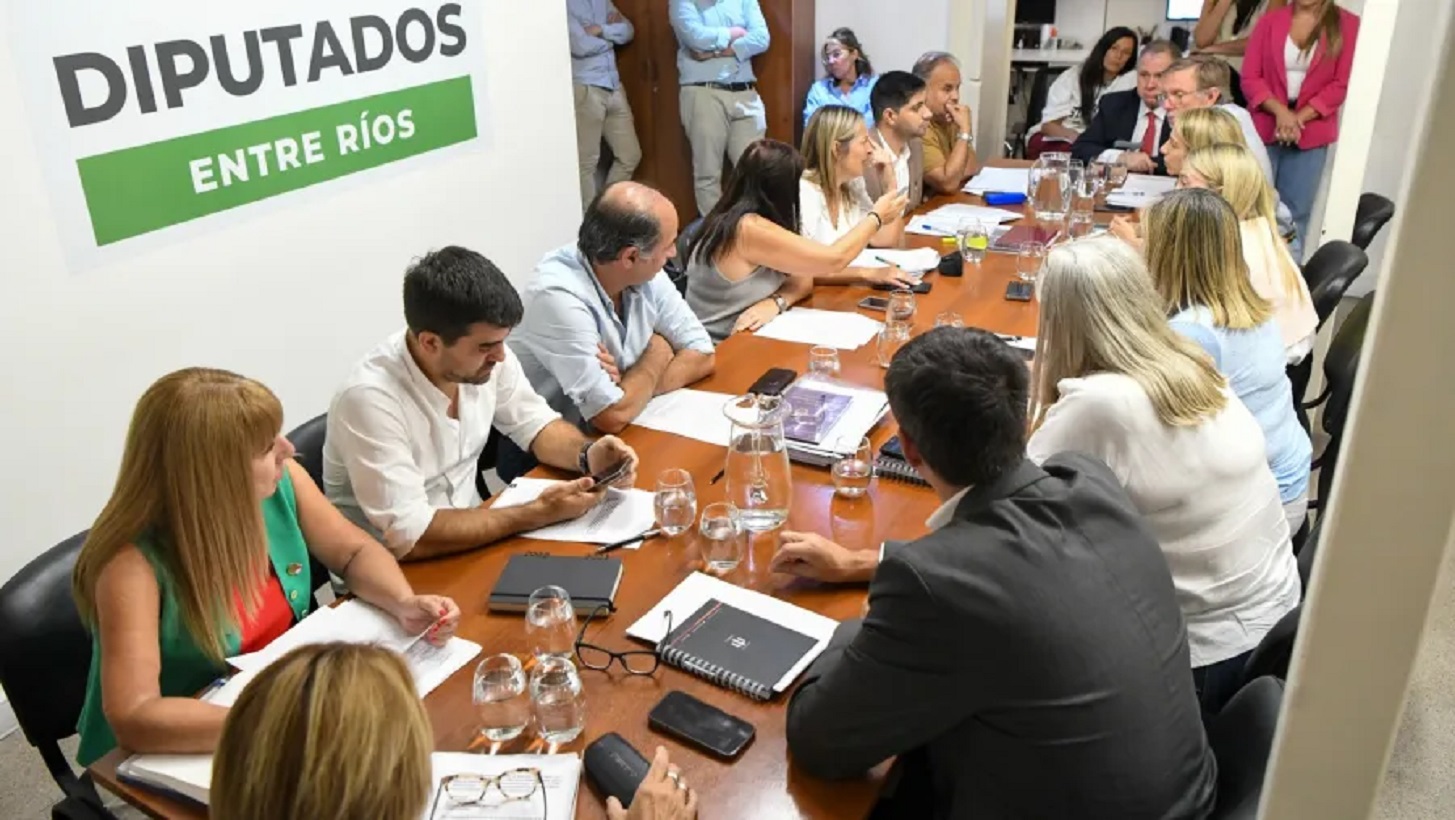 Juicio político: Medina negó las acusaciones ante diputados poco inquisitivos