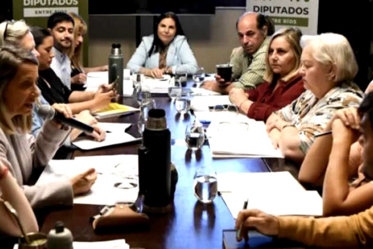 Comisión de Juicio Político desestima las denuncias contra Susana Medina y cierra la causa