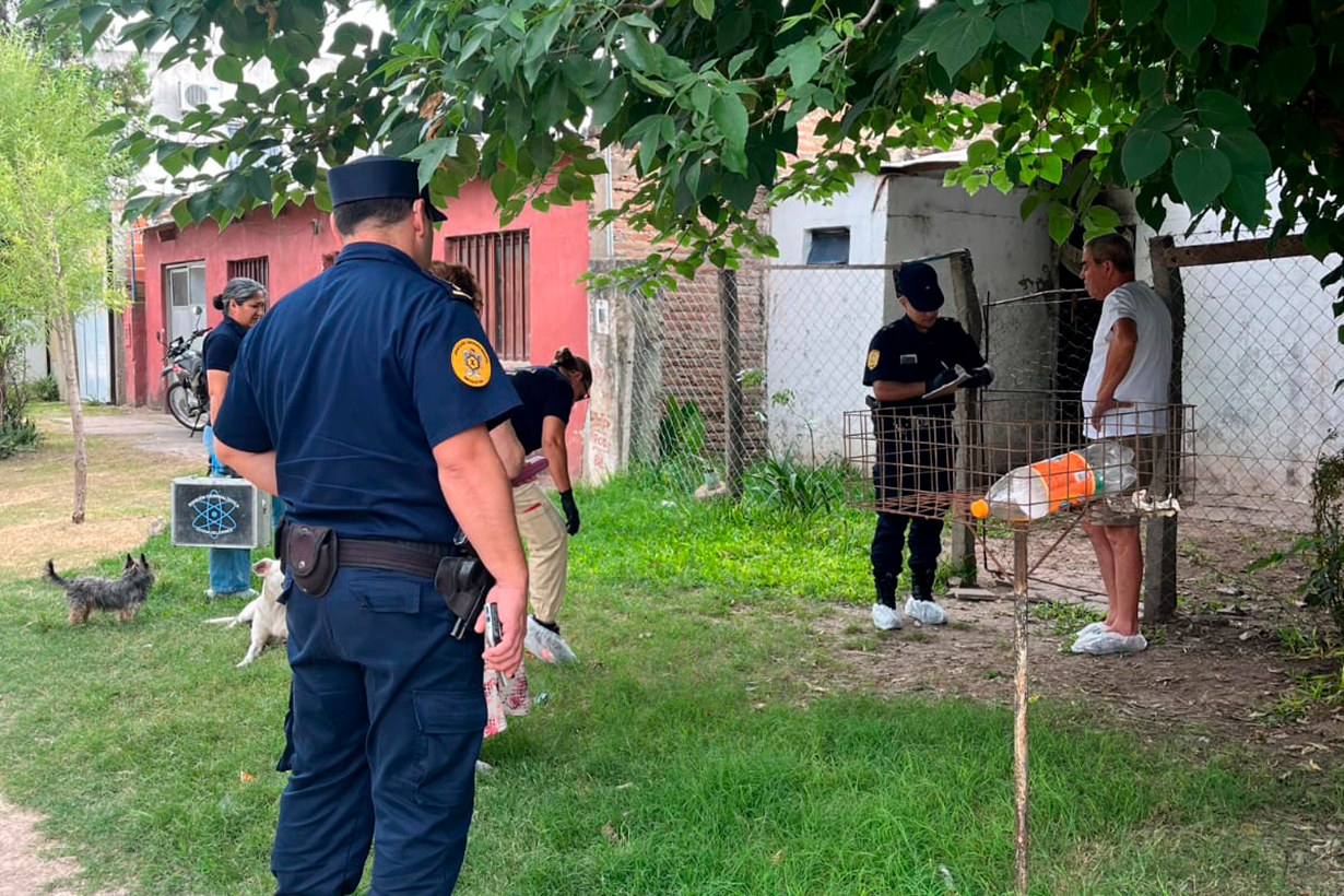 Intervención policial tras gritos de auxilio; mujer en terapia y hombre arrestado.