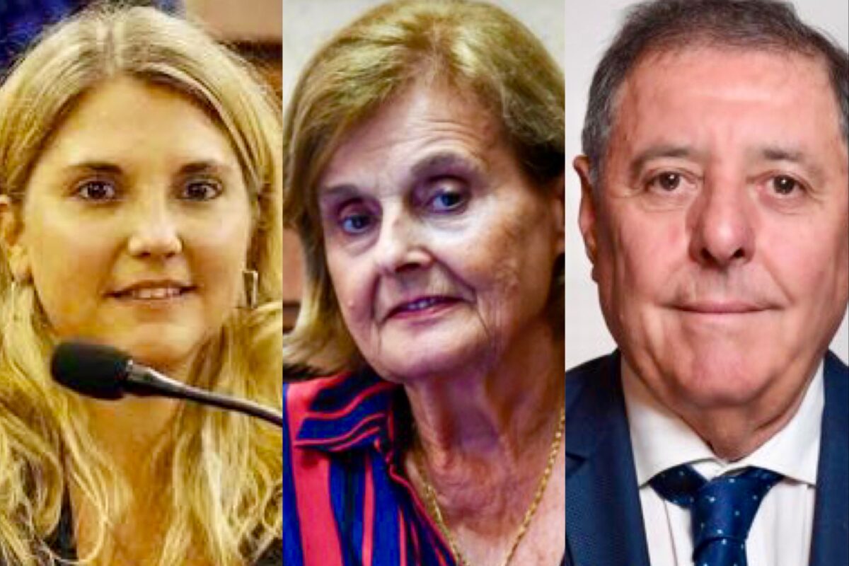 Ranking de senadores: los tres entrerrianos con imagen negativa y De Angeli entre los peores