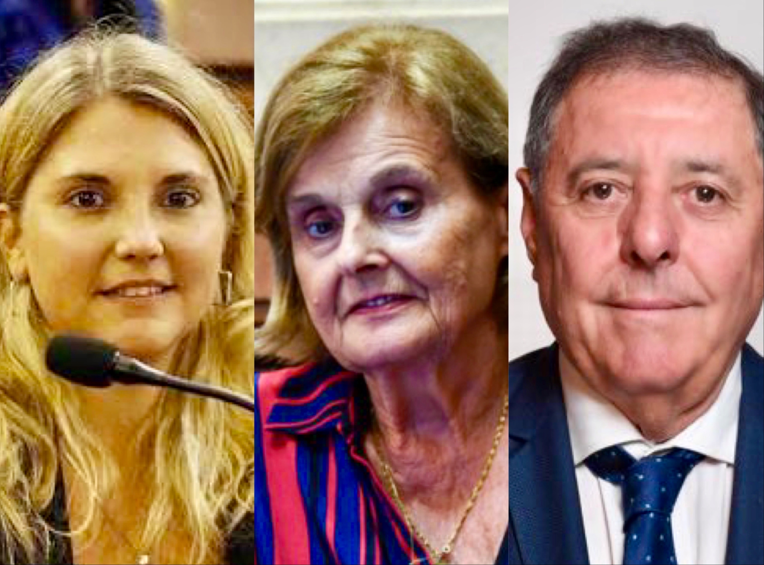Ranking de senadores: los tres entrerrianos con imagen negativa y De Angeli entre los peores