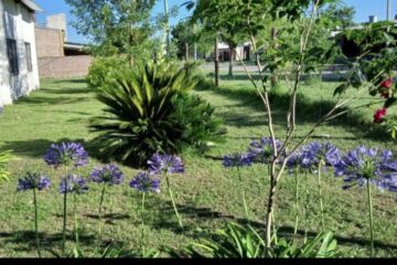 Trabajos en los espacios verdes de la Escuela Parroquial Ciudad de Adliswil
