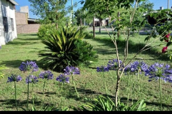Trabajos en los espacios verdes de la Escuela Parroquial Ciudad de Adliswil