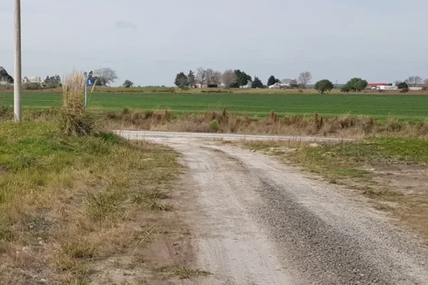 La Justicia trata un amparo ambiental que busca frenar fumigaciones en Colonia Ensayo