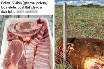 Productores denuncian ataques a los campos y delivery de carne robada