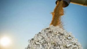 El Gobierno anunció una nueva baja de las retenciones para el agro: “El sector lo va a tomar con muchas ganas y con entusiasmo”