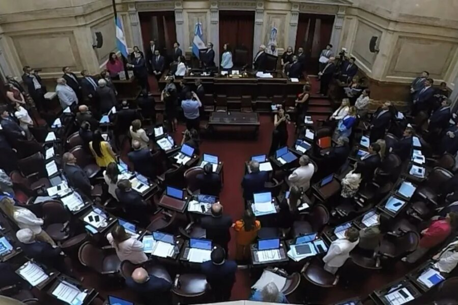 Fondos para indemnizaciones: estiman que su costo fiscal equivale al de las leyes universitaria y de discapacidad