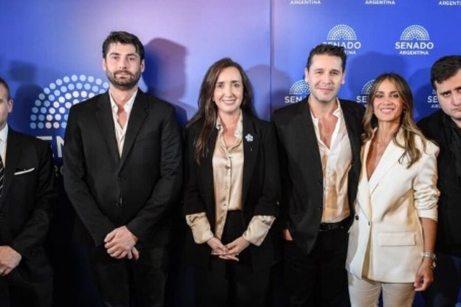 Show en el Congreso: Chinda Brandolino, antivacunas y el regreso del oscurantismo político