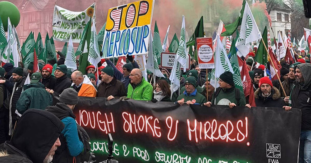 Tratado UE–Mercosur: artículo clave permitiría a Europa congelar beneficios y frenar ingreso de granos argentinos