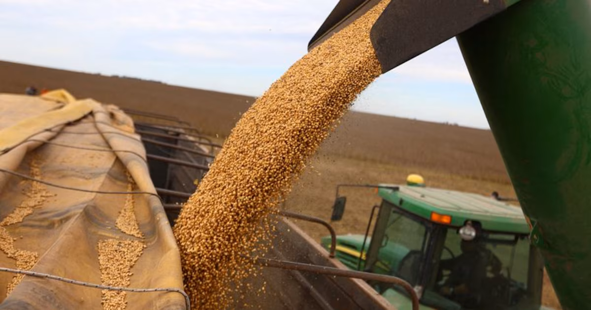 Brotes verdes: actividad del agro alcanzó un máximo histórico en diciembre y cerró 2025 con crecimiento exportador