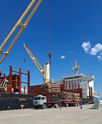 La Policía de Entre Ríos debió intervenir para liberar un puerto bloqueado por un conflicto sindical