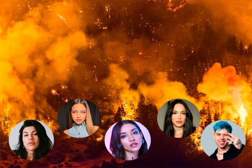 Emilia Mernes y otros artistas  recaudan fondos para combatir los incendios en la Patagonia