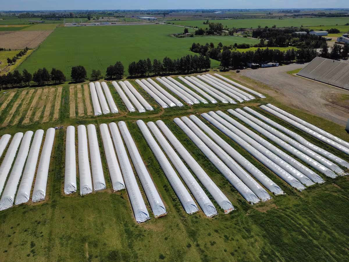Dos luces rojas que amenazan la supercosecha y cómo evitar una tercera
