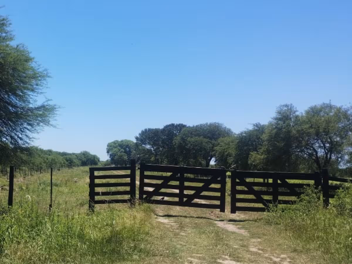 Medida confiscatoria