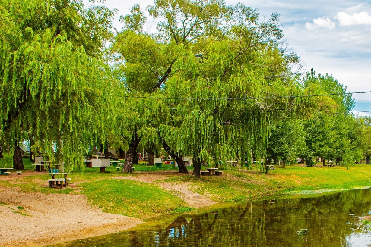 Fallo obliga al Estado provincial a recomponer la vegetación del Área Natural Protegida “Arroyo Perucho Verna”