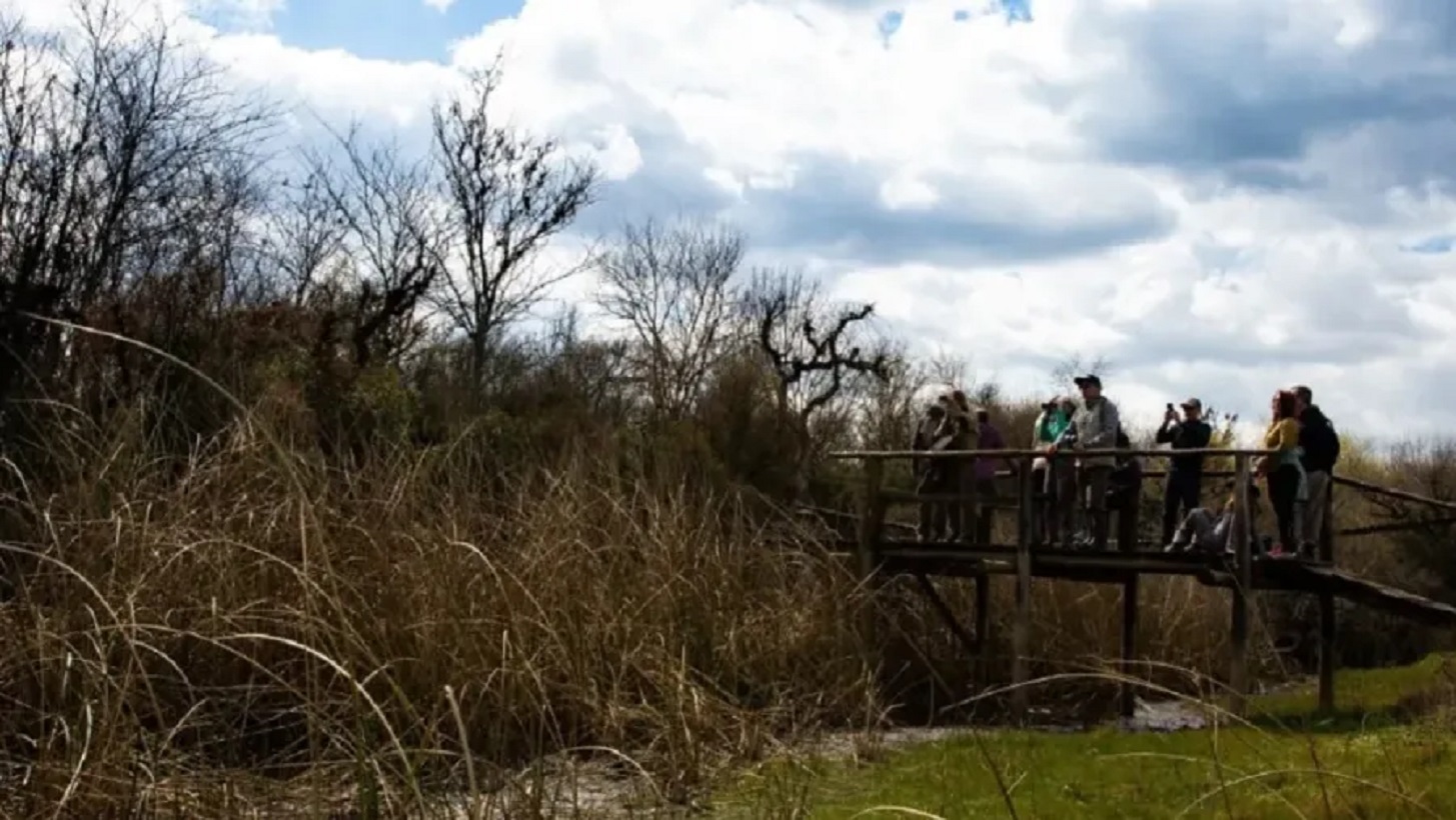 Turista muere tras ser picado por abejas en un monte