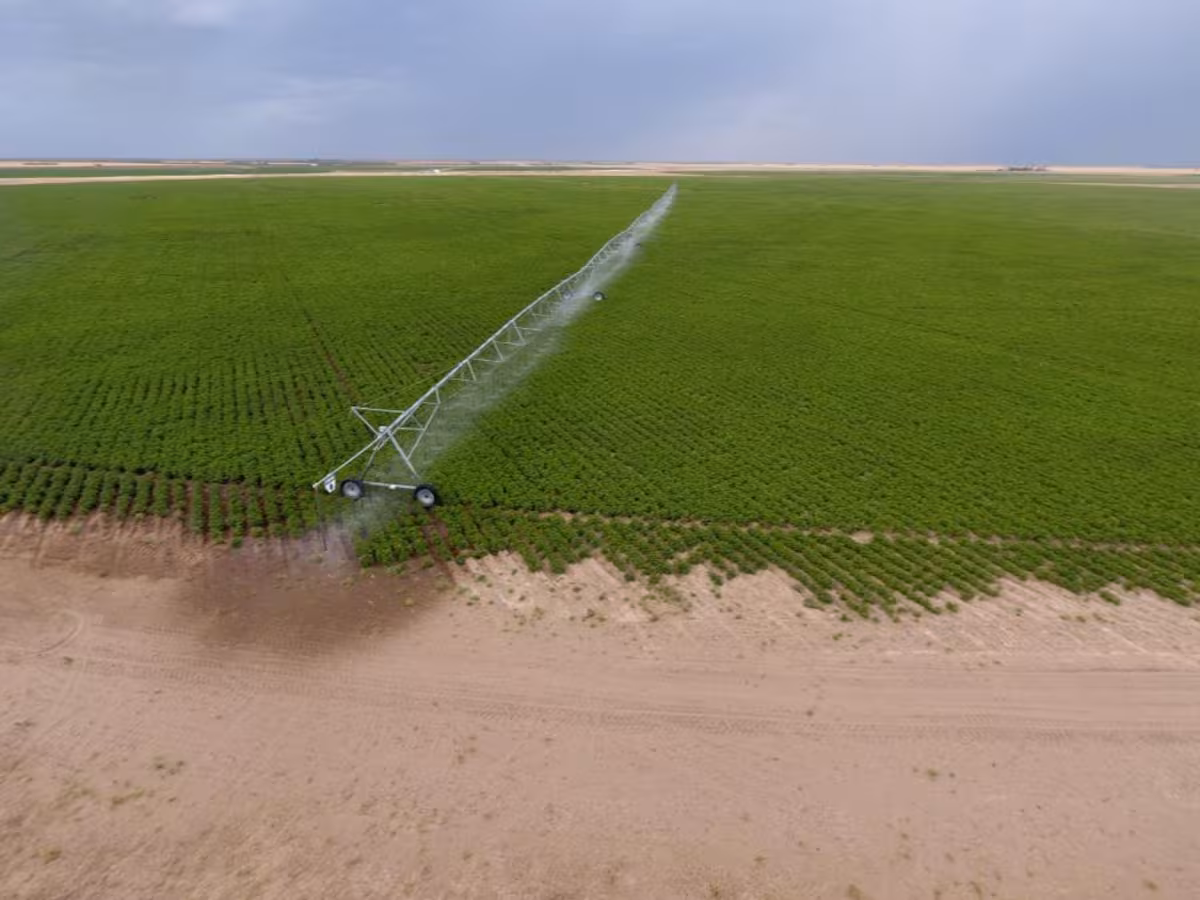 De verdulero a inversionista: invertirá US$50 millones en un ambicioso polo exportador