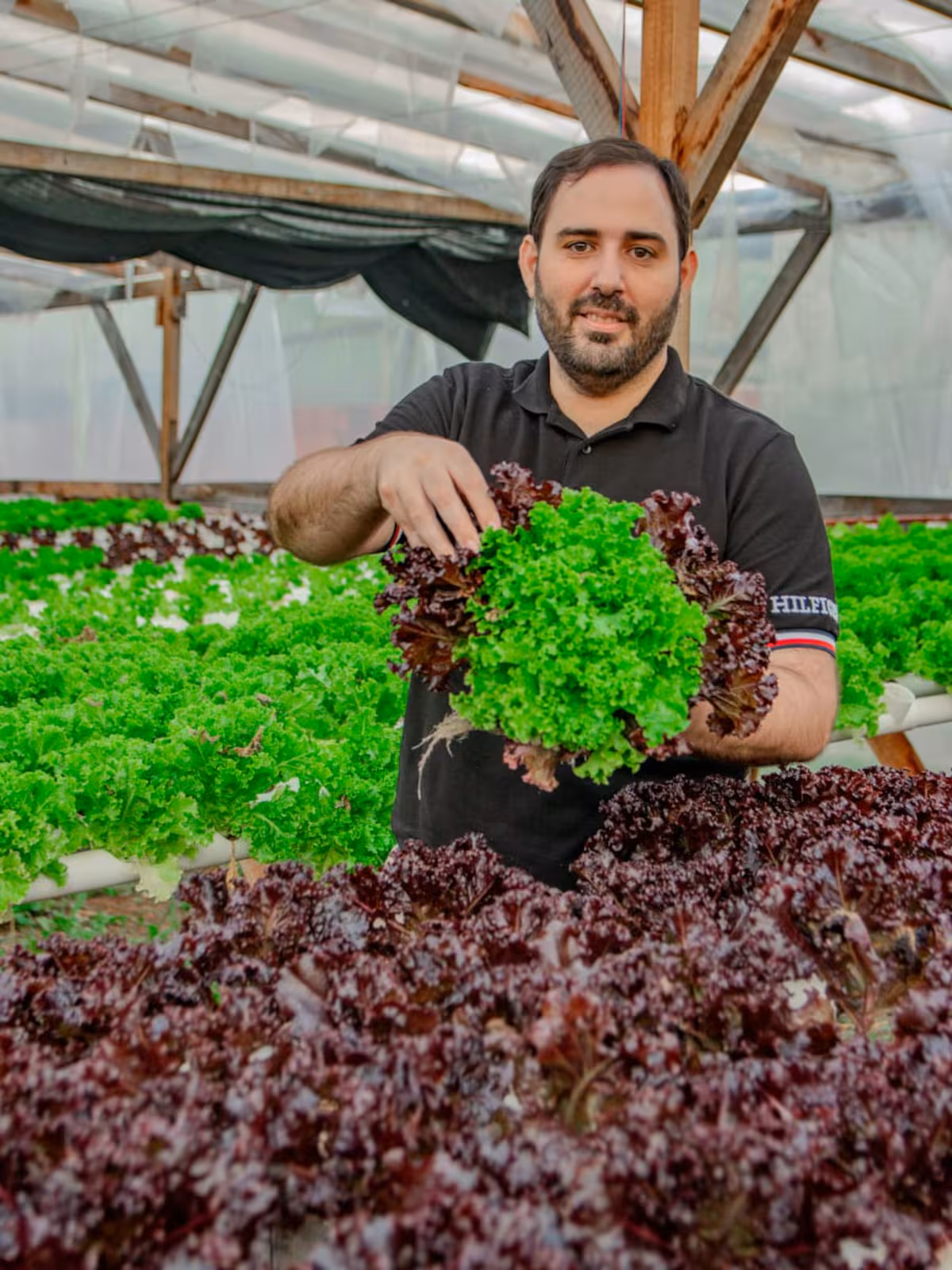 Intendente que mandó al pueblo a emprender logró récord en aperturas de negocios
