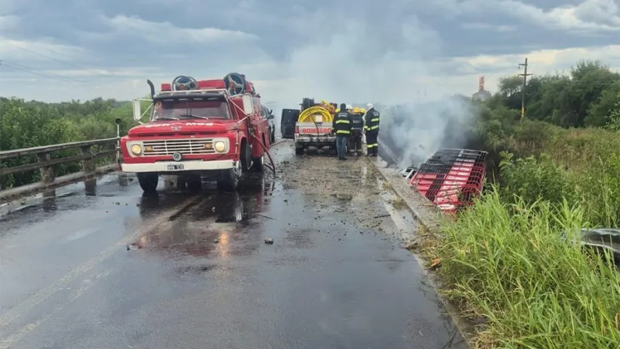 Tragedia en la Ruta Nacional 127: camión jaula despistó y conductor murió en el km 117