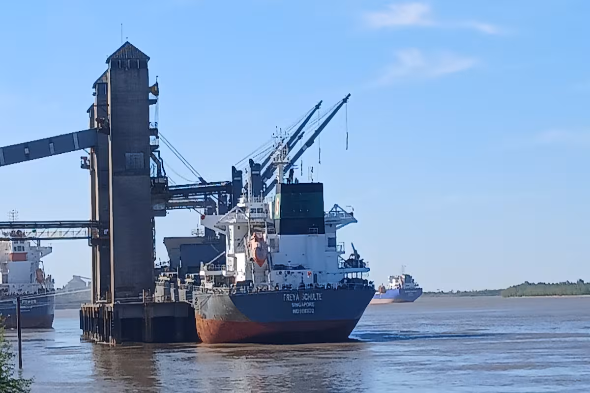 Dos productos agroexportables de argentina alcanzan niveles máximos internacionales y prometen más dólares