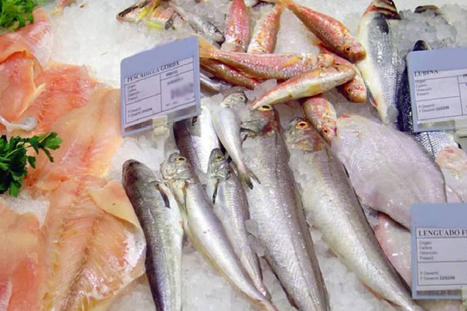 Entre Ríos aumentó el cupo de pesca en el río Paraná: subió a 650 toneladas para el primer trimestre de 2026