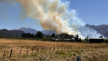 Una fiscal federal denunció posible daño ambiental por la planta de hidrógeno verde en Uruguay