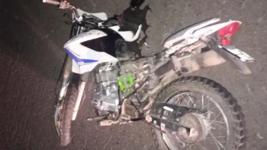 Seguridad vial en debate: murió un motociclista entrerriano de 41 años tras chocar con un perro en la ruta 23
