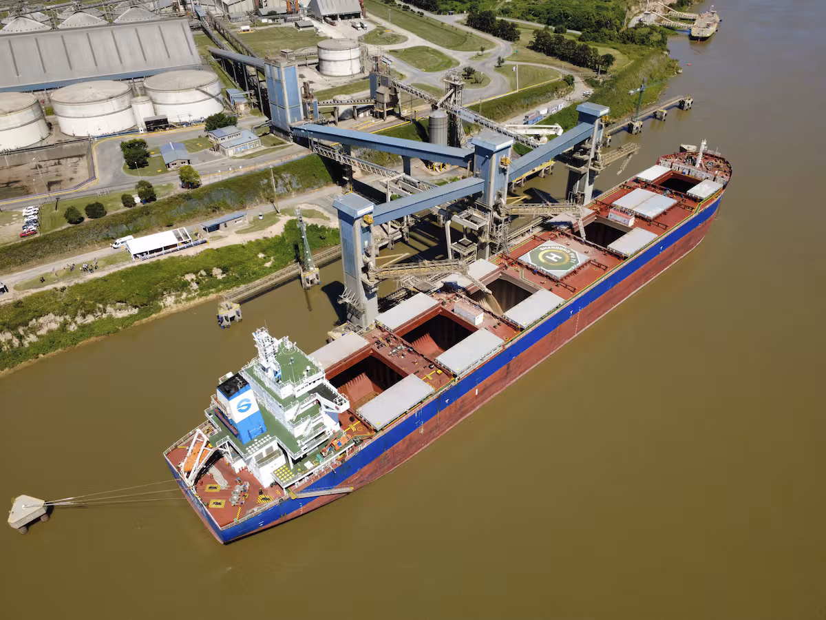 ¿Se viene una suba de precios en el trigo argentino?