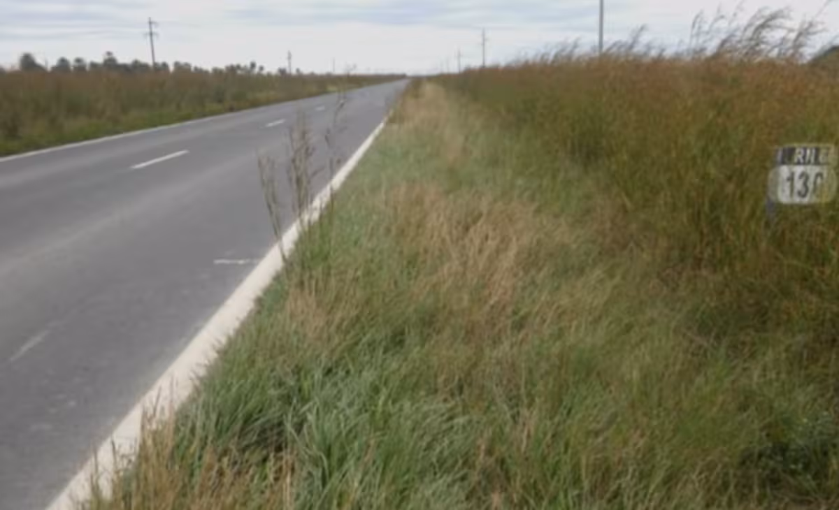 Municipio bonaerense licita siembra de banquinas para generar fondos