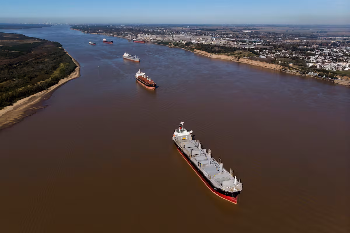 Trigo argentino, el más barato del mundo, aportó más de US$2000 millones en tres meses