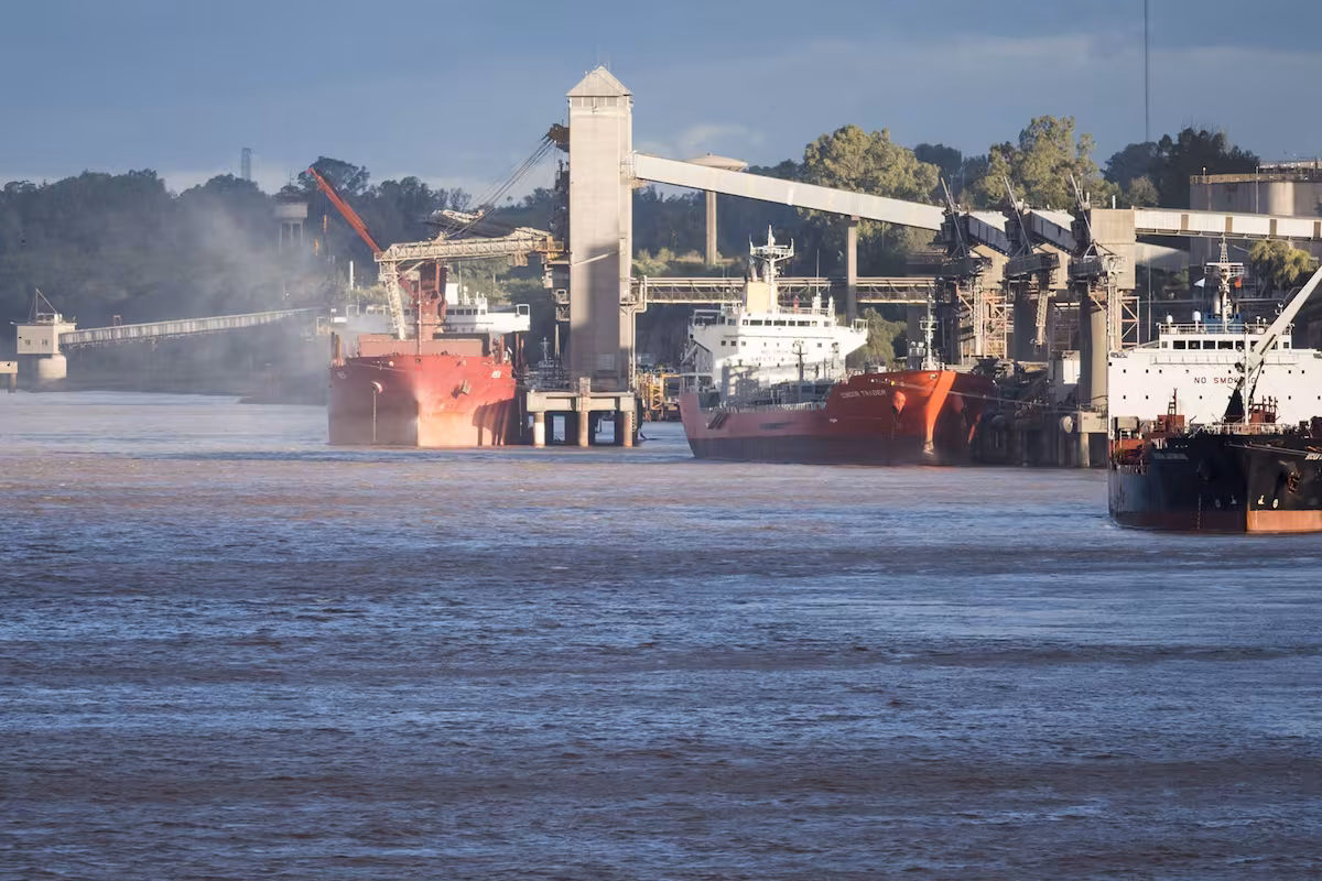 El Gobierno informó registración récord de exportaciones de granos en enero