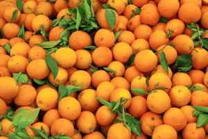 La naranja y la mandarina quedaron fuera del documento, pero apuestan a una negociación pendiente