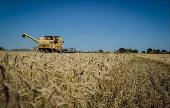 El gobierno entrerriano anunció que las exportaciones crecieron un 47% en un año y casi se duplicaron desde 2023