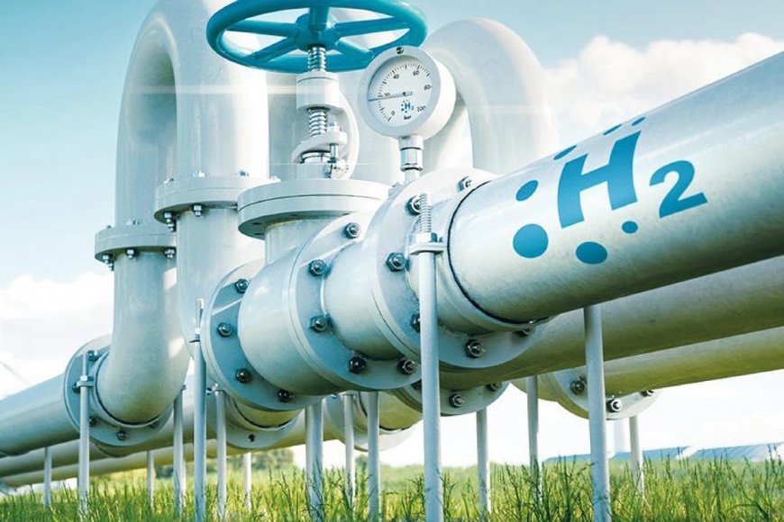 La Justicia Federal admitió a Michel, Bahl y Marclay  en la causa ambiental por la planta de HIF Global