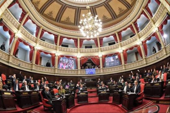 Senado bonaerense: kirchnerismo se impone y profundiza la interna con Kicillof